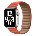 Leather Link Apple Watch Band